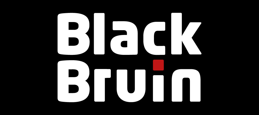 BLACK BRUIN_logo